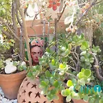 Prázdninový dům Shangrilla Con Piscina Comunitaria Calpe