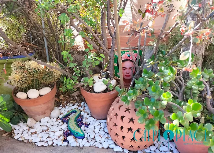 Shangrilla Con Piscina Comunitaria *