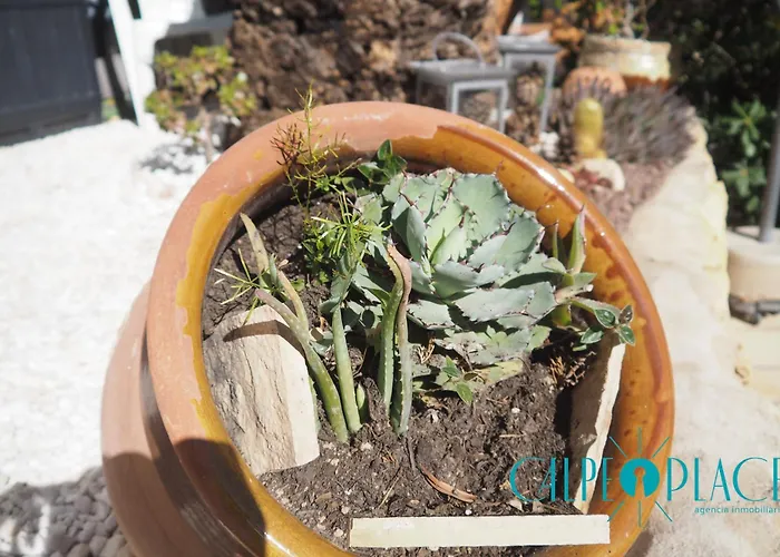 Shangrilla Con Piscina Comunitaria